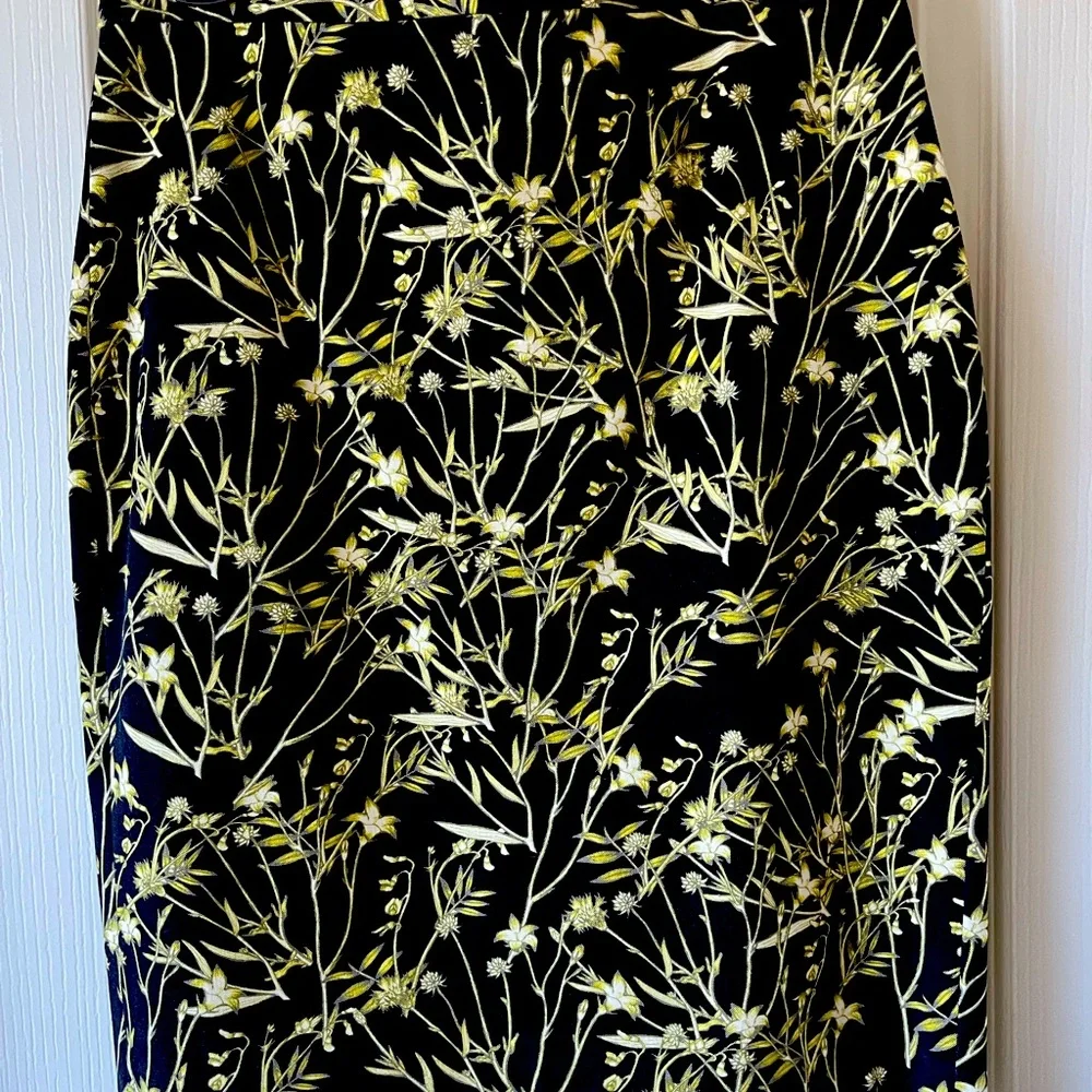 Banana Republic Ladies skirt, 8P